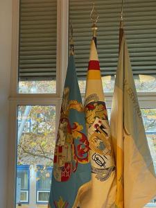 IMG 5890