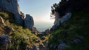 IMG 20250621 061031662 HDR