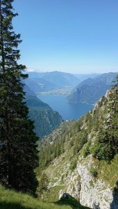 IMG 20250621 102501246 HDR